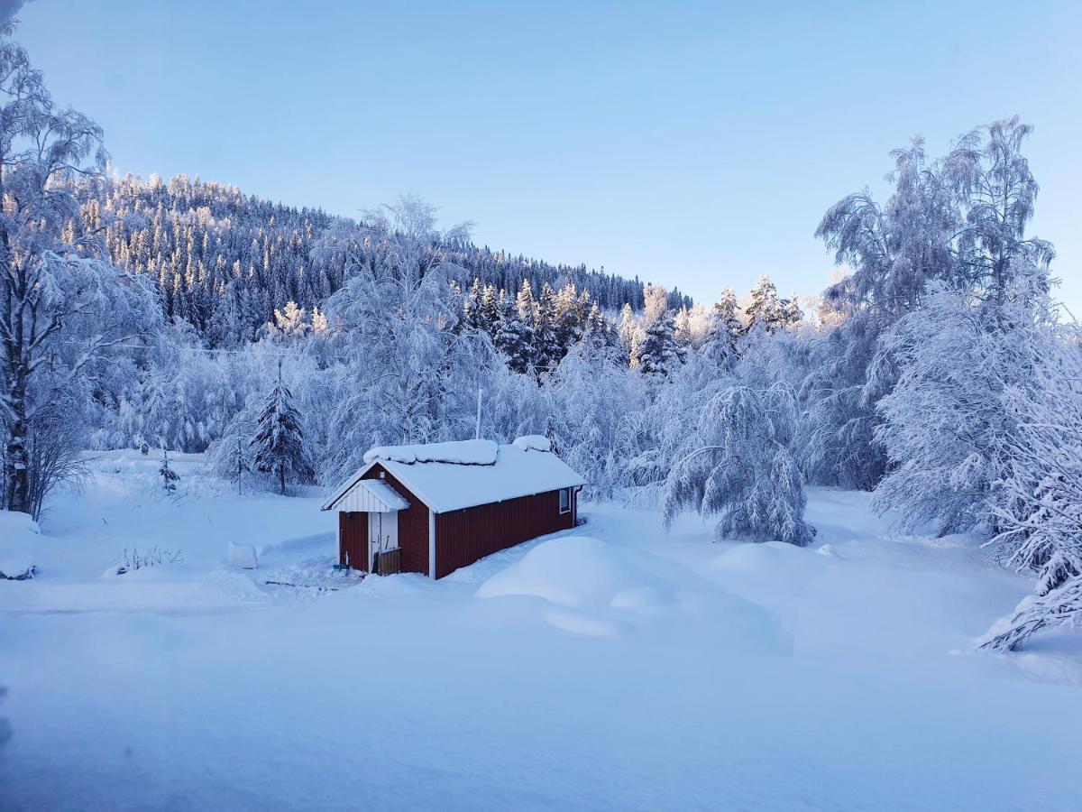 Guesthouse 'Lodge Lagom' ~ Hammarstrand-Jämtland Exteriör bild